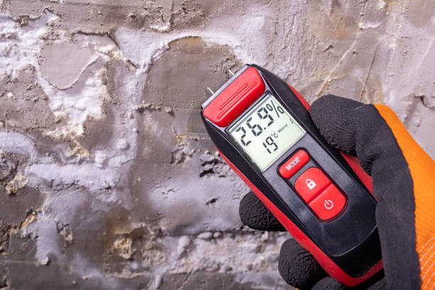 Trusted New Town, ND Mold Remediation Experts